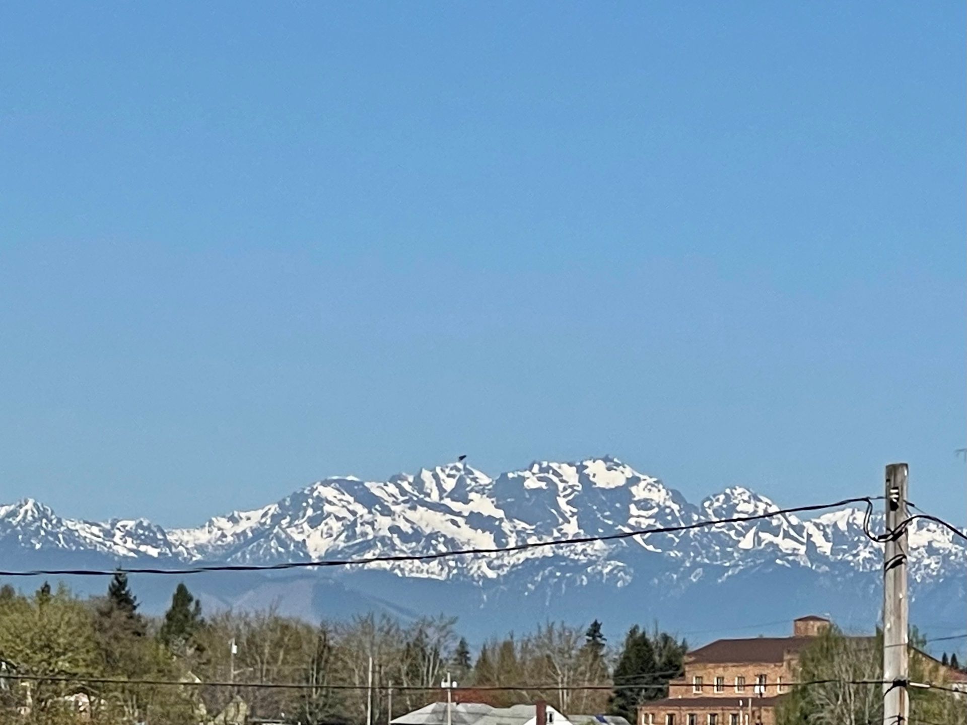 The Cascades from near PSNS